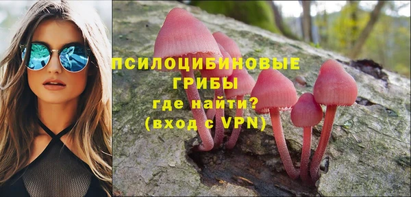 бошки Белокуриха