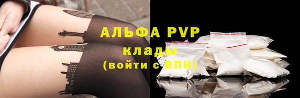 бошки Белокуриха