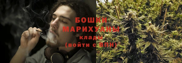 бошки Белокуриха