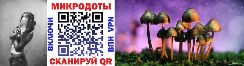 цены наркотик  Жердевка  Псилоцибиновые грибы Psilocybe 